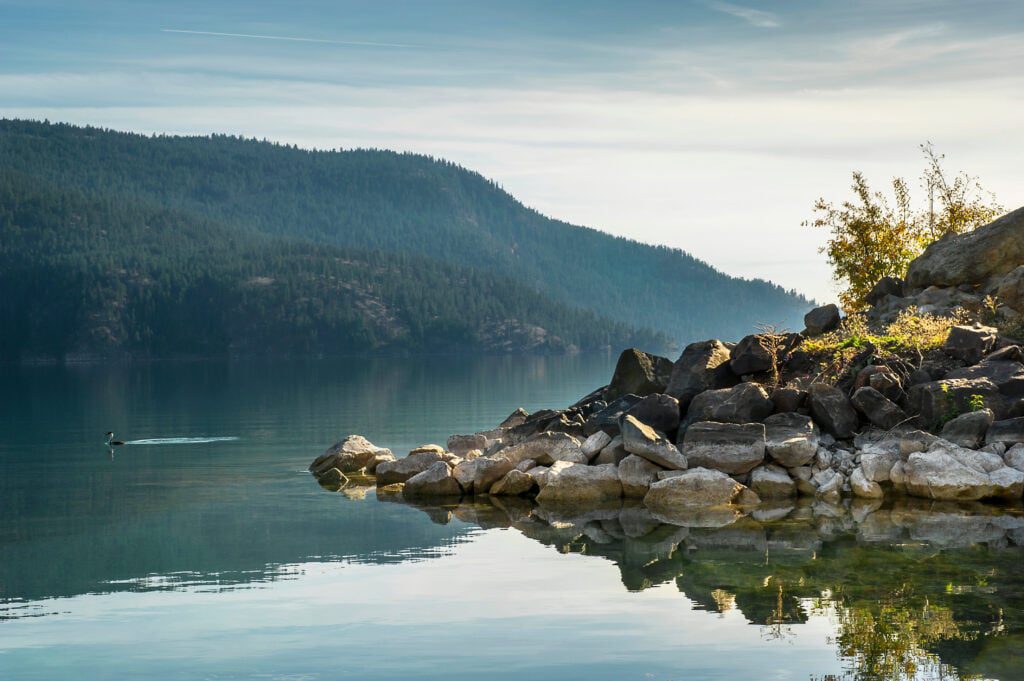 A body of water with rocks and trees in the background.